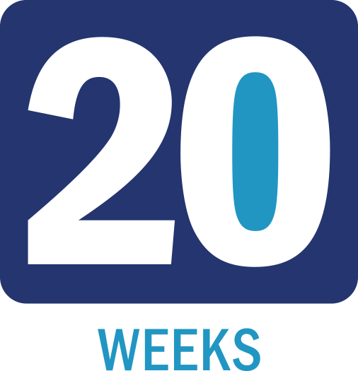 20-Weeks-Icon 20-Weeks-Icon