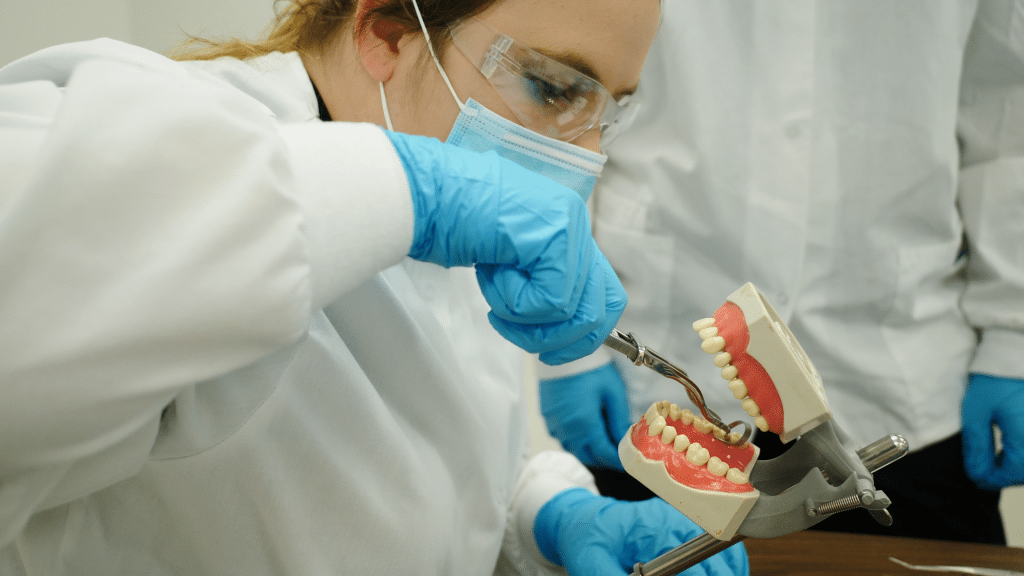 dental student training with teeth
